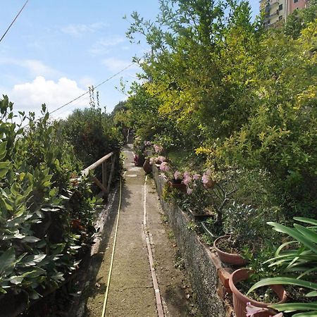 Villa Lardarina Corniglia Eksteriør bilde