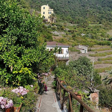 Villa Lardarina Corniglia Eksteriør bilde