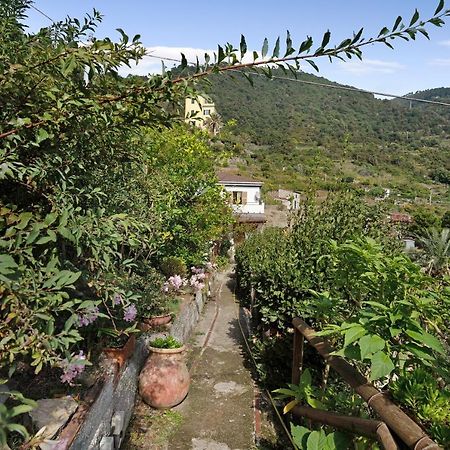 Villa Lardarina Corniglia Eksteriør bilde