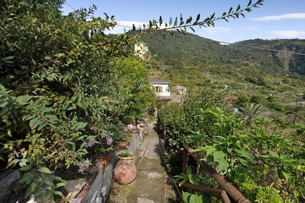 Villa Lardarina Corniglia Eksteriør bilde